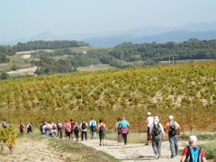 PA284861.JPG